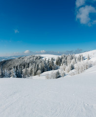 Fototapeta na wymiar Winter mountain snowy landscape