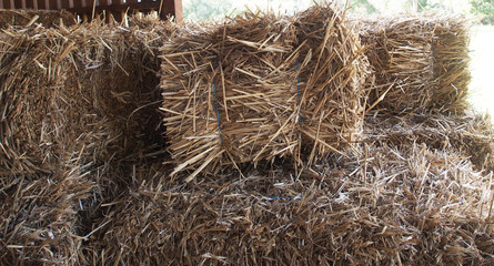 Bales of hay