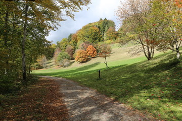 fotos de