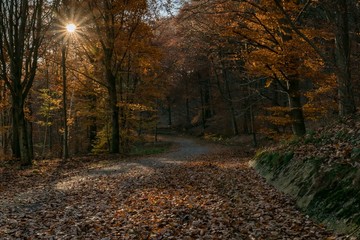 Winter Is COming Soon