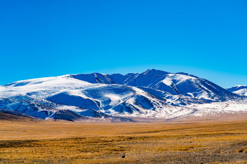 View of the beautiful snow mountain peak against the blue sky and the vast yellow steppe at Ulgii in Mongolia in summer