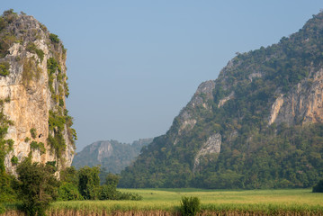 Fototapeta na wymiar Green rice field with cloud and mountain background