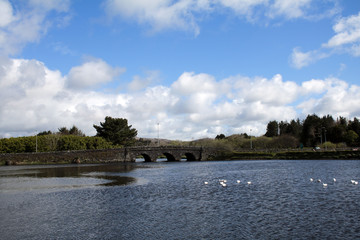 Old railway bridge Ballydehob west Cork, Ireland 