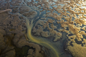 Spectacular top down view from drone on beautiful landscape of puddles and flow stream formed after draining water from Milickie ponds in Poland.