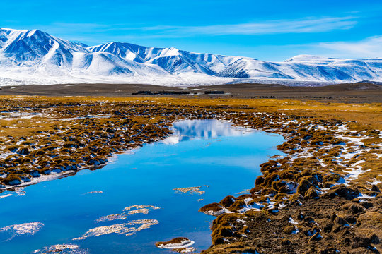 View of beautiful snow mountain with the yellow steppe and the blue sky in Mongolia in October 2018