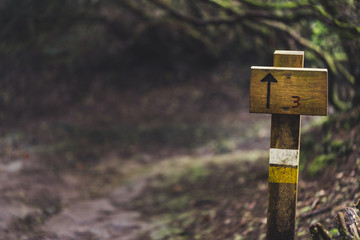 Empty signpost on path in Anaga forest nature reserve in Tenerife.