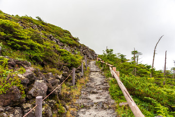 高地　大正池　長野　信州　夏　旅行　観光　名所　明神池　河童橋