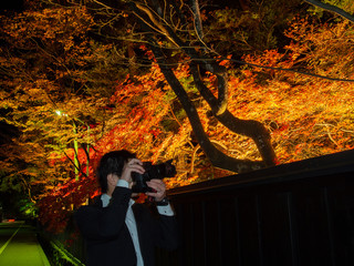 夜の紅葉を撮影するカメラマンの男性