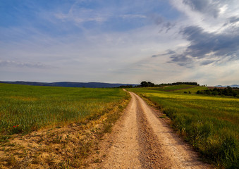 Dirt road between crop fields, between the villages of Fontanars dels aforins and Fuente la Higuera