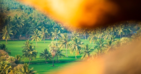 (Selective focus) Amazing landscape with green palm trees framed by some granite rocks, Hampi, Karnataka, India.