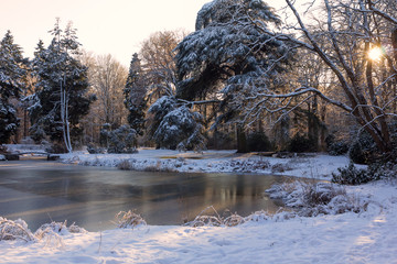 winter landscape with river and trees