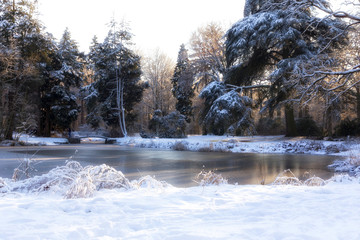 winter landscape with river and trees