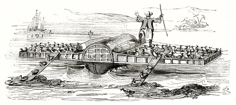 old illustration of traditional ancient boat for ducks breeding in China. The boat is floating on water under the view of the breeder. Unidentified author publ. on Magasin Pittoresque Paris 1839