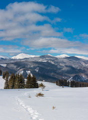Fototapeta na wymiar Winter snowy Carpathian mountains, Ukraine