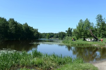 Fototapeta na wymiar Upper Kuzminsky pond in the natural-historical park 