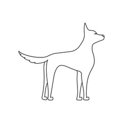 dog side view linear illustration. Pets and grooming