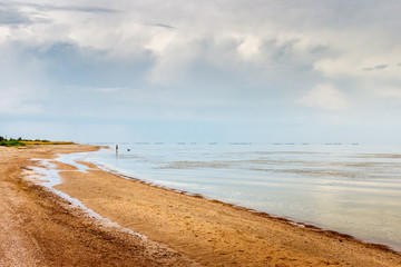 The sandy beach on the sea coast and the woman walking with the dog at the distance. Taganrog bay, Azov sea, Russia