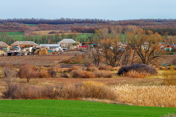 Fototapeta premium The small village among forest belts and green fields with winter crops at the late autumn time
