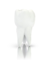 vector 3d tooth for dental medicine. on a white background