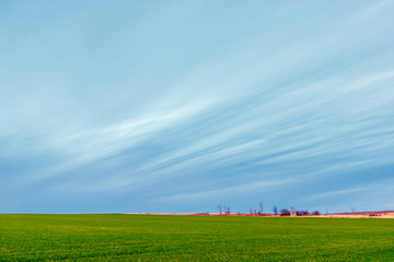 The beautiful twilight landscape with the blue ripple sky and the green field