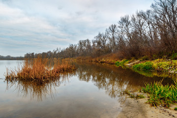 The riverbank with the bare autumnal forest without leaves and brown dry reed thickets in the water. Don river, Rostov-on-Don region, Russia