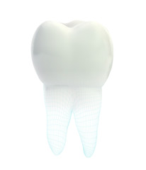 vector 3d tooth for dental medicine.volume polygonal mesh, printing on a 3D printer. isolated on a white background
