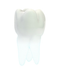 vector 3d tooth for dental medicine.volume polygonal mesh, printing on a 3D printer. isolated on a white background