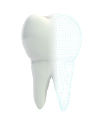 vector 3d tooth for dental medicine.volume polygonal mesh, printing on a 3D printer. isolated on a white background