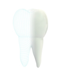 vector 3d tooth for dental medicine.volume polygonal mesh, printing on a 3D printer. isolated on a white background