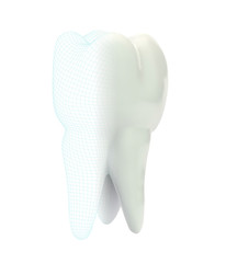 vector 3d tooth for dental medicine.volume polygonal mesh, printing on a 3D printer. isolated on a white background