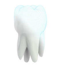 vector 3d tooth for dental medicine.volume polygonal mesh, printing on a 3D printer. isolated on a white background