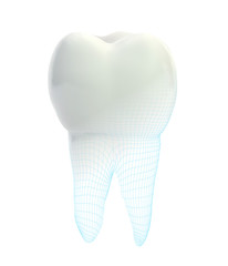 vector 3d tooth for dental medicine.volume polygonal mesh, printing on a 3D printer. isolated on a white background