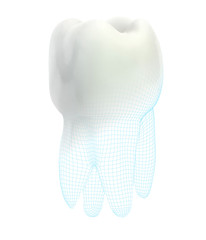 vector 3d tooth for dental medicine.volume polygonal mesh, printing on a 3D printer. isolated on a white background