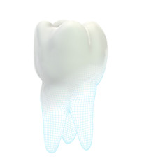 vector 3d tooth for dental medicine.volume polygonal mesh, printing on a 3D printer. isolated on a white background