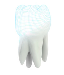 vector 3d tooth for dental medicine.volume polygonal mesh, printing on a 3D printer. isolated on a white background