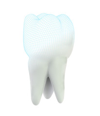 vector 3d tooth for dental medicine.volume polygonal mesh, printing on a 3D printer. isolated on a white background