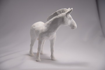 Fototapeta premium white zebra