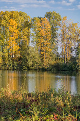 Fototapeta premium Beautiful view near Steinkirchen-Danube-Bavaria-Germany