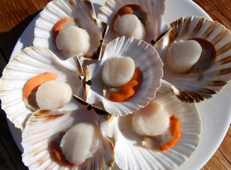 noix de coquilles saint-jacques