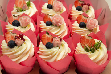 Cupcakes. Gift for girls