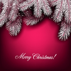 Fototapeta na wymiar Christmas background with white fir twig. Vector