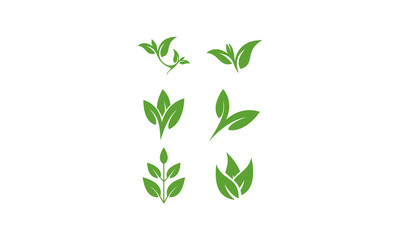 set leaf template vector