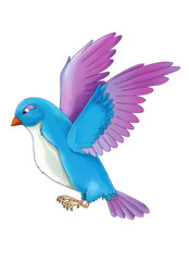 Cartoon exotic colorful bird - flying on white background - illustration for children