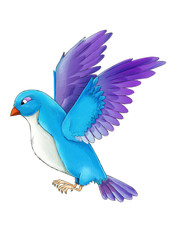 Cartoon exotic colorful bird - flying on white background - illustration for children