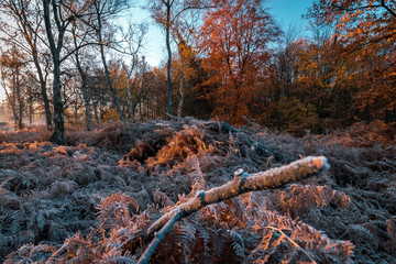 A cold and frosty November morning at the Autobahn A2 in Herten, Ruhrgebiet, GErmany
