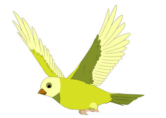 Cartoon exotic colorful bird - flying on white background - illustration for children