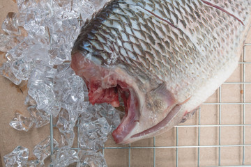 Close up of fresh Nile Tilapia fish