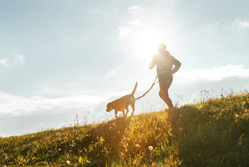 Bright sunny Morning Canicross exercises. Man runs with his beagle dog.