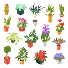 Home plant for green home decoration isometric icon set