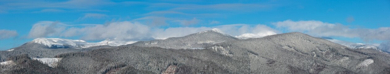 Obraz premium Winter morning Carpathian mountains, Ukraine